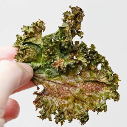 A hand is holding up a kale chip.