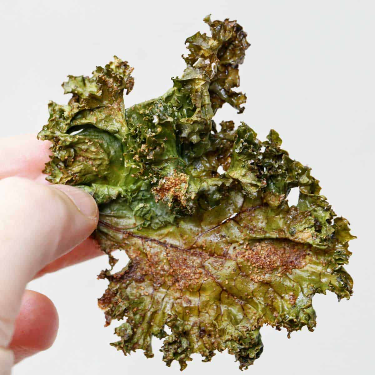 A hand is holding up a kale chip.