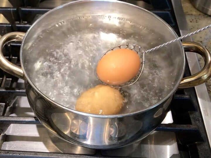 Placing the eggs in the water.
