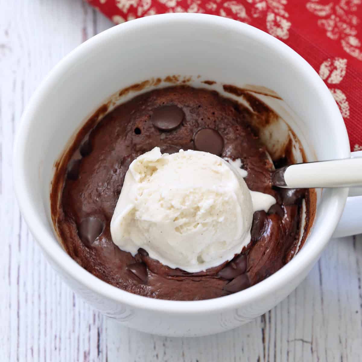 A chocolate mug cake is served with a scoop of frozen yogurt.