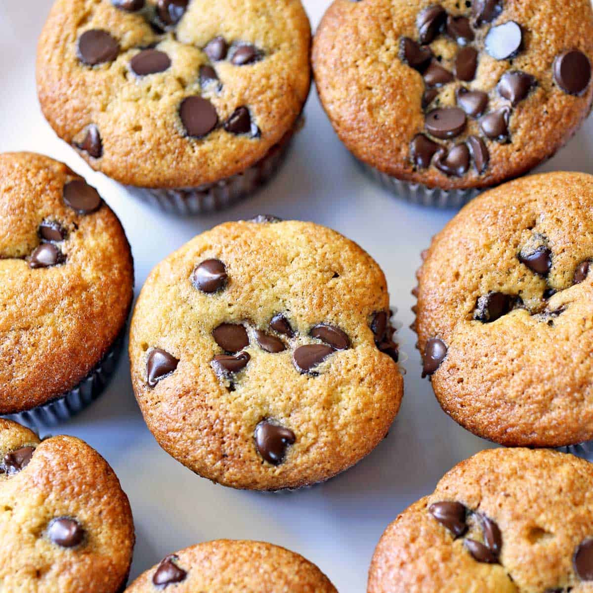 Almond flour chocolate chip muffins on a plate.