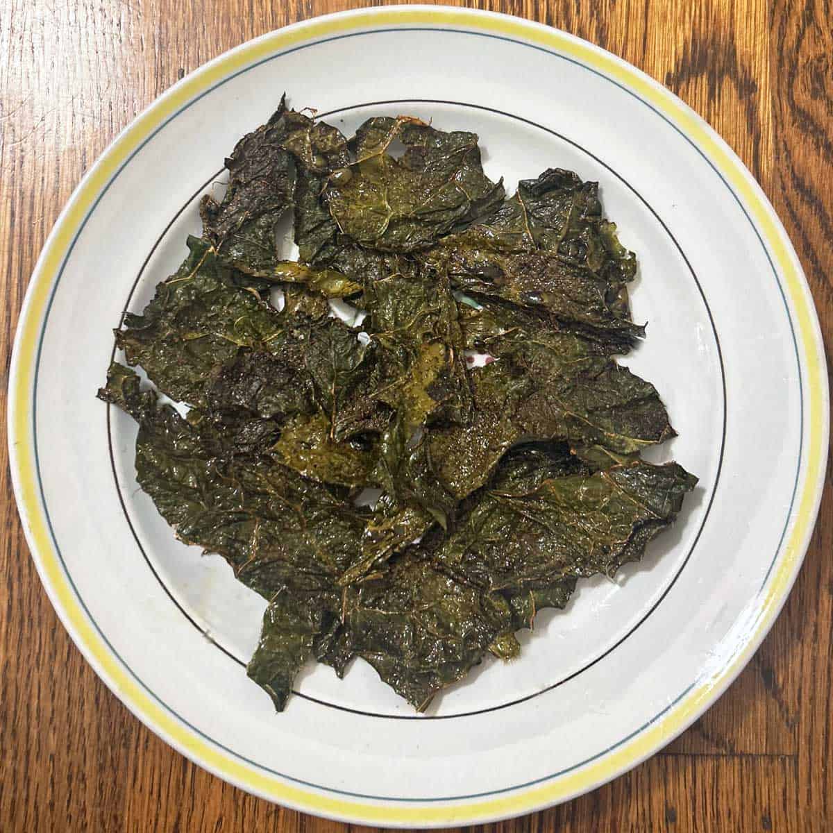 Tuscan kale chips on plate.